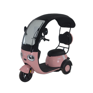 2024 Offre Spéciale de moto de vélo de Tricycle électrique à trois roues de haute qualité de 800W avec couvercle - Product Image 3