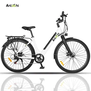 ANLOCHI 2024 fabrika ucuz 700C 36V 250W bisiklet hub motor elektrikli şehir bisikleti erkekler için