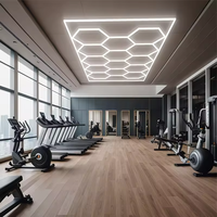 Promotion : Lumière LED hexagonale portable en aluminium à intensité variable, indice de protection IP67, alimentation CA, lumière du jour 6000K, IRC 90, pour garage et atelier