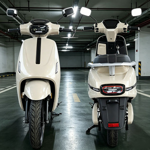 CKD SKD Moto à deux roues de 12 pouces 1100/1300W Vitesse 60km/h Importateurs Commerce - Product Image 1