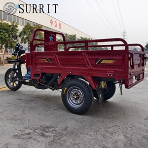 Tricycle à moteur tout-terrain avec suspension avant, essence, trois roues, pour tout-terrain - Product Image 6