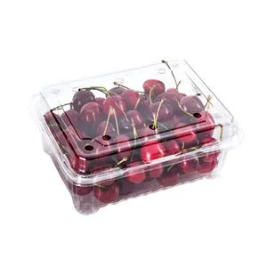 一次性塑料透明水果和蔬菜包装容器草莓樱桃取出盒