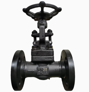 Válvula de Globo de Acero Fundido Estándar Americano J41H-150LB con Sello Hermético, Retención Manual de Gas y Carbón, Conexión de 4 Pulgadas, Flanqueada, 2 Años de Garantía - Product Image 4