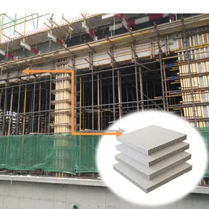 Arten von Beton form bau Construcao Material De-Construccion Temporäre vertikale Kunststoff Pp Hohl schalung für Haus