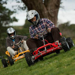 <span class=keywords><strong>Junior</strong></span> Outdoor for Fun 196CC 45 KM/H Accélérateur Accélérer Go Karts Safety Drive Essence Karting <span class=keywords><strong>Buggy</strong></span> - Product Image 5
