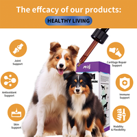 Compléments Alimentaires pour Animaux OEM, Multivitamines pour Chiens, Compléments Nutritionnels pour Animaux, Produits de Soins de Santé pour Animaux et Compléments Multivitaminés Liquides