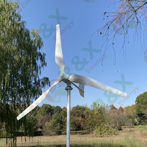 Aerogenerador de Eje Horizontal de Baja Velocidad 96 120 Voltios 600W 800W 1kW 2kW 3kW en Venta Hawt RX-M 600W 800W 1kW 2kW 3kW - Product Image 5