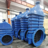 Vannes à opercule à joint élastique en fonte ductile ANSI API BS5163 F4 à bride manuelle PN16 DN600 DN1200 DN800