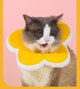 Cat Sunflower Elizabeth katun leher sterilisasi memberi makan Anti Lick gigit kecantikan penutup kepala kerah anjing hewan peliharaan - Product Image 3
