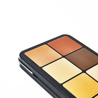 Haute qualité 12 & 16 couleurs fer blanc métal boîtes palette personnalisable Blush ombre à paupières Palette ombre boîte cadres en gros
