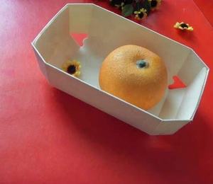 <span class=keywords><strong>Ecco</strong></span>-Barco de madera para sushi, plato desechable para servir - Product Image 6