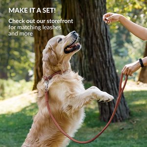 <span class=keywords><strong>Collar</strong></span> de cuero PU de perro marrón tejido ajustable auténtico vegetariano personalizado de lujo y <span class=keywords><strong>Collar</strong></span> de correa de perro de cuero - Product Image 6