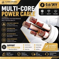 Cable de Alimentación Eléctrico Personalizado de 3+2 Núcleos, 0.6/1kV YJV XLPE PVC, Cable de Cobre para Suministro Eléctrico en Construcción e Industria