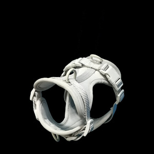 Benutzer definierte Designer Luxus Polyester Nylon Hunde geschirr Set personal isierte verstellbare Luftschicht Neopren <span class=keywords><strong>PVC</strong></span> Leine Halsband Mode - Product Image 2