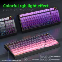 Deiog New Wired USB AK98 101-Key Full Size Plastic Mechanical Keyboard RGB Luminous Side Engraved Keycap E-sports Game Office