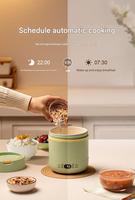 800ML Portable Électrique Poêle Cuisinière Petite Eau Intelligente Bouillante et Marmite pour La Maison Dortoir Tourisme Utilisation