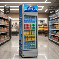 Vitrines réfrigérées commerciales pour boissons, à contrôle manuel de la température, économie d'énergie, portes simple/double/triple