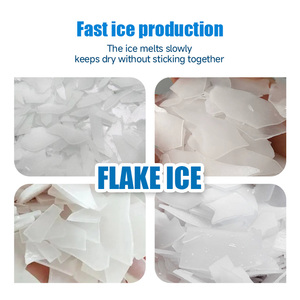 Machine à glace en flocons YISO à congélation rapide 300 kg/24h, boîtier entièrement en acier inoxydable pour usine de transformation de produits aquatiques - Product Image 4