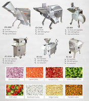 Commerciële Fruit- en Groentesnijder Kubus Snijmachine 3-25mm Dobbelstenen 500-1200kg/H Roestvrijstalen Motor 380V/220V
