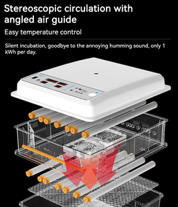 Giá rẻ giá dễ dàng kiểm soát nhiệt độ điện Máy Ấp Trứng Nở trứng tự động lồng ấp cho trứng - Product Image 5