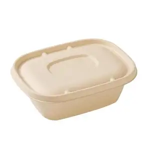 Papier boxen Biologisch abbaubarer Mini-Lieferanten druck Stapelbar 1 gramm personal isierte Farbe Große Schule Multi Pack Aufrechte Lunchboxen