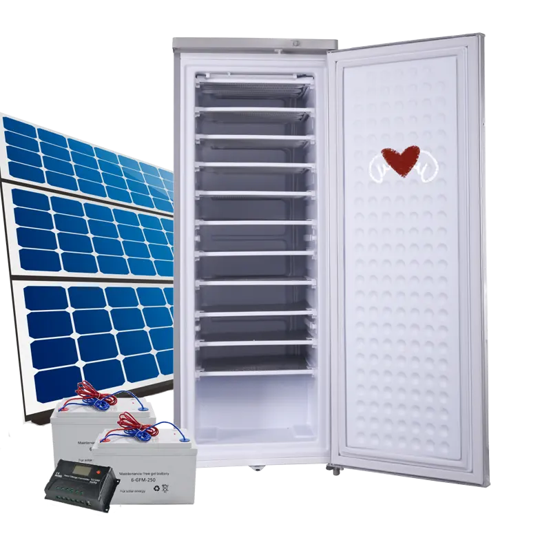 BD-198L With 11 Layers Upright Ice Maker Freezer With Solar Power Used DC 24V