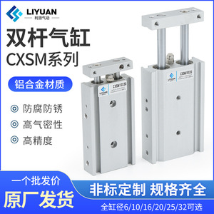 กระบอกลมนิวแมติกแบบสองแกน Liyuan รุ่น CXSM61015202532 ขนาด 10 20 25 30 35 50 มม. ตัวกระตุ้นลมแบบนิวแมติกตัวเรือนอะลูมิเนียม - Product Image 5