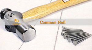 Les <span class=keywords><strong>Clous</strong></span> Iron <span class=keywords><strong>Clous</strong></span> en fil de fer courants / <span class=keywords><strong>Clous</strong></span> courants - Product Image 6