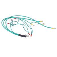 Harnais de câblage personnalisé en usine JST TE Molex, câble Amass LVDS, faisceaux de câblage complets pour l'électricité