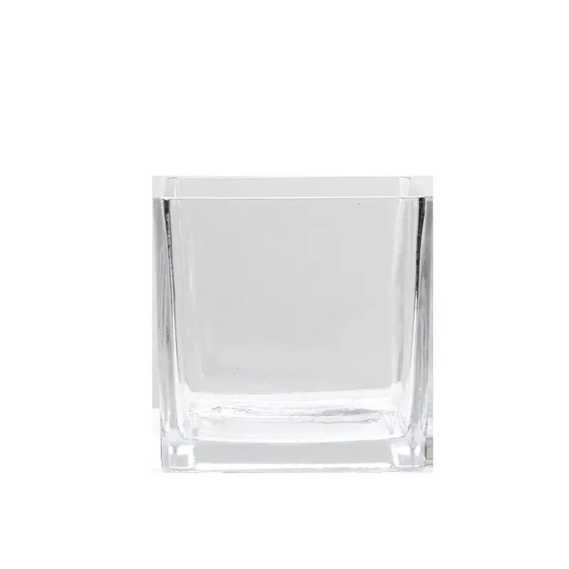 Modern square clear Ikebana hydroponics glass vase transparent cube square glass vase for sale
