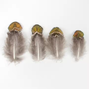 Plume de paon irisée en coquille d'or naturel petit plumage de <span class=keywords><strong>faisan</strong></span> pour la décoration de robe bricolage fait à la main fabrication de bijoux - Product Image 3