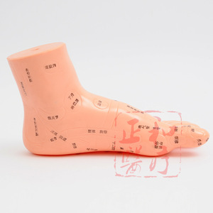 Modelo de Reflexología Podal Zh de 13 cm, Herramienta de Entrenamiento de Acupuntura Reutilizable de PVC - Product Image 3