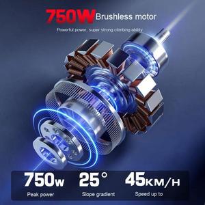 Scooter Eléctrico de Dos Ruedas de 750W Barato de China, 80km de Autonomía, 40km/h, 15Ah, Control por Aplicación, Carga Máxima de 150kg, Envío Gratis desde Almacén en EE. UU. - Product Image 6