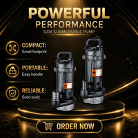 Pompe submersible série Mingyuan QDX, 220V monophasée, pompe à eau électrique pour l'irrigation et le déshydratation des puits