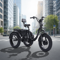 Triciclo Eléctrico de Fábrica para Adultos, Garantía de 2 Años, Marco de Acero de 6 Velocidades, Frenos de Disco (Motor y Batería Personalizables Disponibles)
