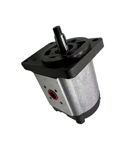 Bomba de aceite KP20 KP30 PLP PLM PLP30 PLP10 PLP20 PLM20, bomba de engranajes de alta presión, serie KP20/BC/20. 6.3-20, 1/21/21 - Product Image 2
