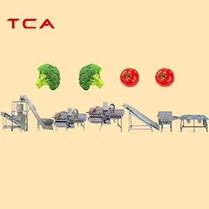Factory price 500kgh 600kgh fruit and vegetable production line fruit and vegetable processing and packaging line