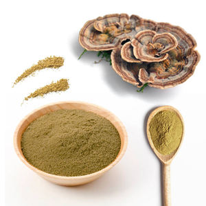 זנב הודו אורגני זנב פטריות אבקת פטריות תוסף טבעי לחיות מחמד עם Psk psk זמין קפסולה צורות נוזל אריזה בקבוק - Product Image 3