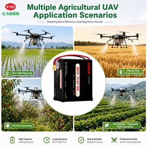 Baterai Drone Pertanian Berkualitas Tinggi 30Ah 14S 51.8v 10C Stok Massal, Laris, Dapat Disesuaikan - Product Image 6
