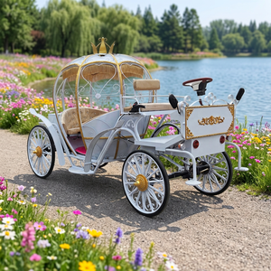 Chariot Électrique de Transport Romantique de Haute Qualité, Voiturette Électrique à Chevaux pour Visites Touristiques, Carrosse Électrique à Chevaux en Forme de Citrouille à Vendre - Product Image 1