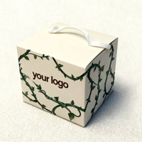 Boîte à café en papier kraft pour l'emballage de grains de café et de poudre tailles personnalisées écologiques jetables pour la vente en gros et au détail