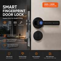 Serrure de porte intelligente de sécurité à levier, avec déverrouillage par mot de passe, empreinte digitale, carte magnétique et application mobile - Vente en gros