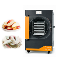 Lyophilisateur alimentaire sous vide automatique de table pour fruits, capacité 4-6 kg, avec piège à froid -45°C