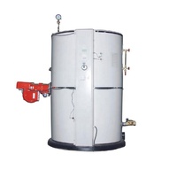 Chaudière à vapeur verticale basse pression 150 kg/h à gaz pour blanchisserie/machine à tofu/cuisson
