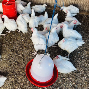 RS-76 động vật trang trại thiết bị gia cầm Gà feeders và người uống nhựa gà Feeder xô - Product Image 5
