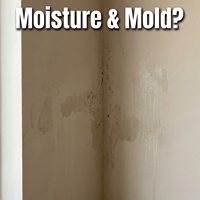 Peinture de base acrylique polymère à base d'eau, anti-humidité, anti-moisissure, scellant, sous-couche protectrice résistante à l'humidité pour murs intérieurs humides