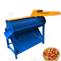 Machine à éplucher les graines d'abricot efficace Opération facile Composant de moteur de noyau Décortiqueur d'économie de main-d 'œuvre pour la chair des graines
