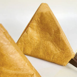 Pochette à monnaie mini tendance à poignée unique en papier Dupont avec fermeture éclair triangulaire et doublure en polyester – Vente en gros usine - Product Image 3