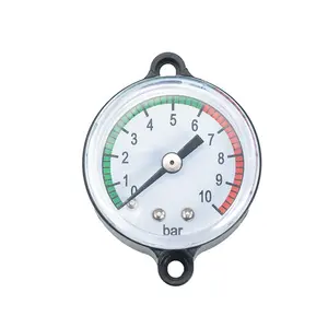 Professional manufacturers selling water flow pressure switch PS02 type pressure display gauge