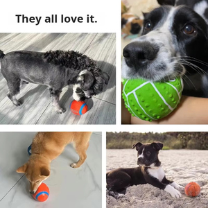 Pelota Sonora de Látex de Goma de Alta Elasticidad para Mascotas, Rellena de Algodón, para Fútbol, Rugby, Voleibol, Juguetes Sonoros para Perros para Jugar a Traer - Product Image 6